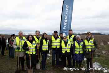 Ook bedrijven spannen samen bij aanleg van ‘Verdienstelijk Bos’