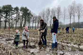 Staalplatenbedrijf plant 2.800 bomen: “Goed voor het milieu én leuke familieactiviteit”