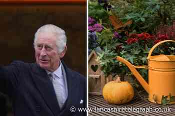 Winter garden preparation for Spring from the King's gardener