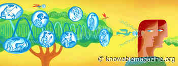 When And Where Did The First Indo-European Language Develop? There’s A New Argument About That.