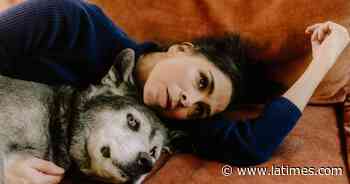 So Who’s Winning In The Artists-Versus-AI-Companies Copyright Lawsuit?