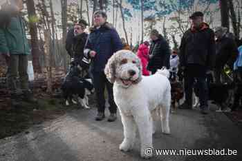 Genk telt 11.000 honden die zich voortaan kunnen uitleven in nieuw belevingsbos