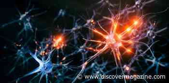 How To Recognize Seizures And Offer Immediate Help