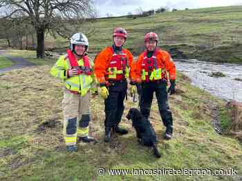 Stranded dog in Trawden rescued by Lancashire Fire Service