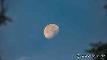 Wochenhoroskop: Die Pech-Sternzeichen vom 26. Februar bis zum 3. März