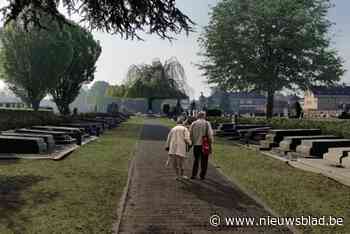 Kerkhof Diest-centrum in nieuw kleedje met groen en sterrenweide: “Omvormen tot rustgevende bezinningsplaats”