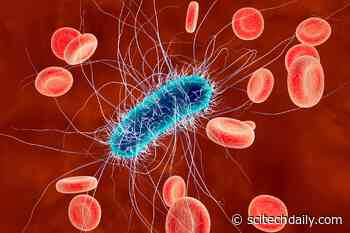 The Invisible Assassin: How E. Coli’s Hidden Mutation Turns Deadly