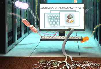 Unlocking the Secrets of Soil Microbes to Improve Climate Predictions
