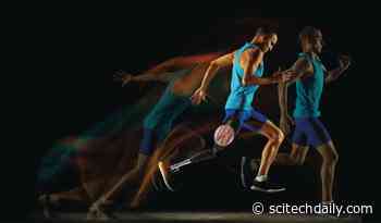 Feeling the Future: How a New Prosthetic Leg Restores Natural Sensations