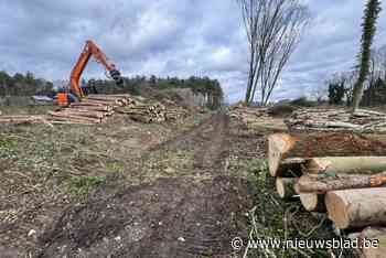 Genenbos krijgt er 25 nieuwe woningen en een speelbos bij