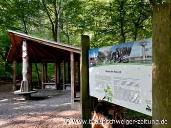 Raus in die Natur: Das sind die Lieblingsorte der Wolfsburgerinnen und Wolfsburger