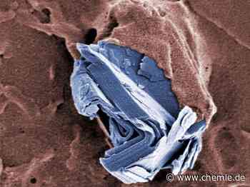 Graphen-Forschung: Zahlreiche Produkte, keine akuten Gefahren