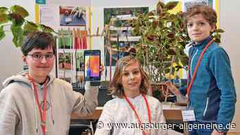 Diese drei Ulmer sorgen sich um Schulpflanzen in den Sommerferien