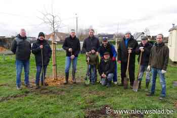 ‘Lochtingleute-vrienden’ vergroenen hun volkstuinpark: “Oase in verstedelijkte omgeving”