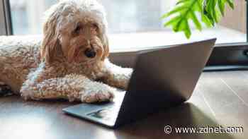 11 things you didn't realize your Windows laptop's Precision Touchpad can do