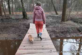 Delfte Beek kronkelt weer als weleer door vierdorpenpunt in Blommerschotse bossen