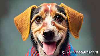 AI-misbruik bij EU-verkiezingen krijgt tegengas van speciaal team bij Meta