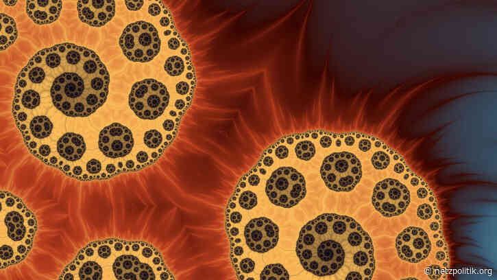 KW 8: Die Woche, als wir Weinberge in einen Strand verwandelten