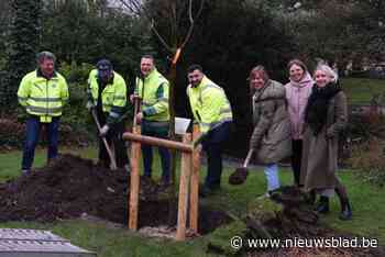 Geboorteboom geplant in Park Peeters