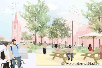 Aanleg proeftuin rond ontharding op Havermarkt gaat van start