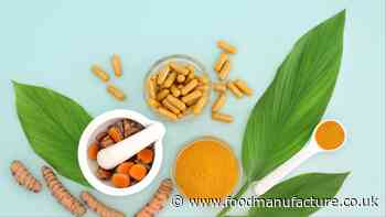 Plant-based protein supplement sales top $1bn globally