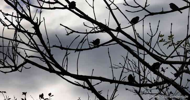 Viele Wolken und etwas Regen zum Wochenstart in Bayern