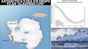 Antarctica's sea ice drops to an 'alarming low' for the third year in a row, scientists warn