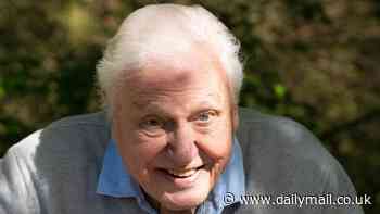 David Attenborough fans feel conned after show boss reveals nature sounds are not recorded in the wild... but in the editing suite