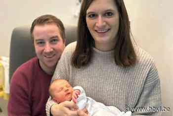 Kersvers papa Jeroen Gielen maakt winning goal voor VC Kesselt: “Spannende dagen”