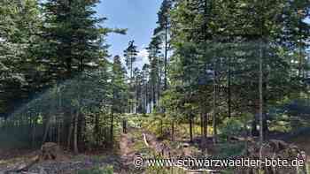 Neue Wege in Enzklösterle: Schnupperjahr bei der Feuerwehr