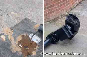 Viral video shows ULEZ Welling camera covered in ‘dog poo’