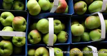 Scientists discover new method of squeezing apple juice which could boost health benefits