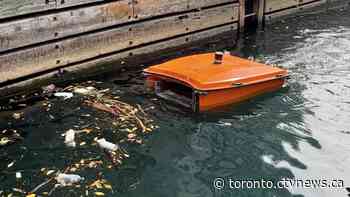 Nearly 63K pieces of plastic collected from Toronto Harbour within 6 months last year