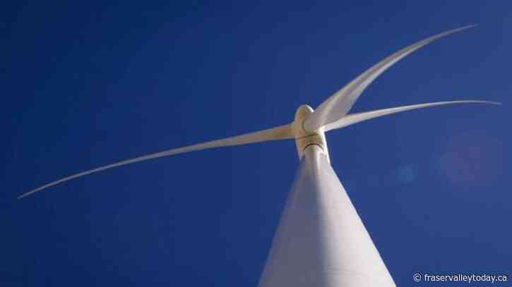 Labour, environment groups make plea for sustainable jobs bill to pass