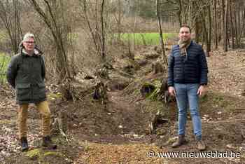 Op deze nieuwe wandeling herbeleef je WOII in Lummen: “Langs loopgrachten en virtueel kanon”