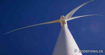 Environmental and labour groups make plea for sustainable jobs bill to pass