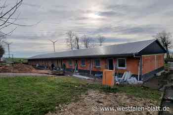 Warburg: Neues Heim für Flüchtlingsfamilien entsteht am Horenberg