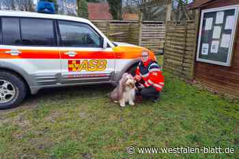 Rahden: Rettungshund aus Bielefeld spürt vermissten Senior auf