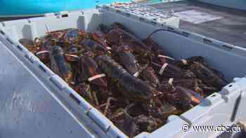 Nova Scotia seafood sector far exceeds targets set a decade ago