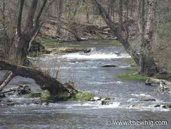 Water safety statement for Kingston region with rain, rising temps in forecast