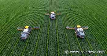 Seeking Yield on $37M Ether Treasury, JPEG'd DAO Mulls Airdrop Farming