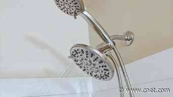 Best Showerhead for 2024     - CNET