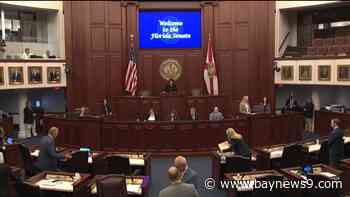 Wrongful death protections for unborn children fizzles in Florida Senate