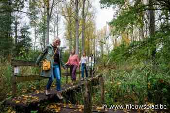197ste Eerstevrijdagwandeling: door de bossen en velden van Pulle