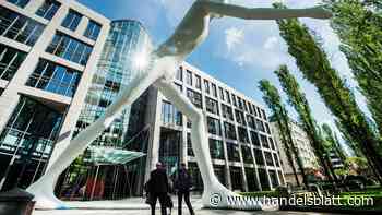 Rückversicherer: Munich Re rechnet für 2024 mit weiter steigendem Gewinn – und erhöht Dividende deutlich