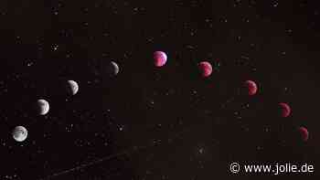 Bei diesen 3 Sternzeichen sorgt die Fische-Saison für Chaos