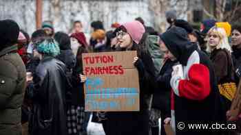 Canada's international student spike was blamed on private colleges. Here's what really happened