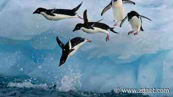 5 things to consider before leaping from one Linux distribution to another