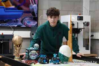 De ene legde al elektriciteitsleidingen, de andere kijkt filmpjes over robots: dit zijn de vier Limburgse finalisten van de STEM Olympiade