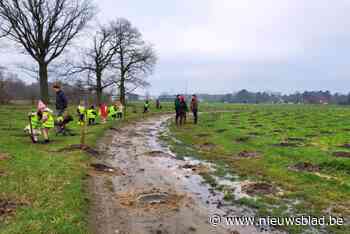 Modelvliegclub vraagt stopzetting boomplanting: “Een bos kan het einde betekenen voor onze club”